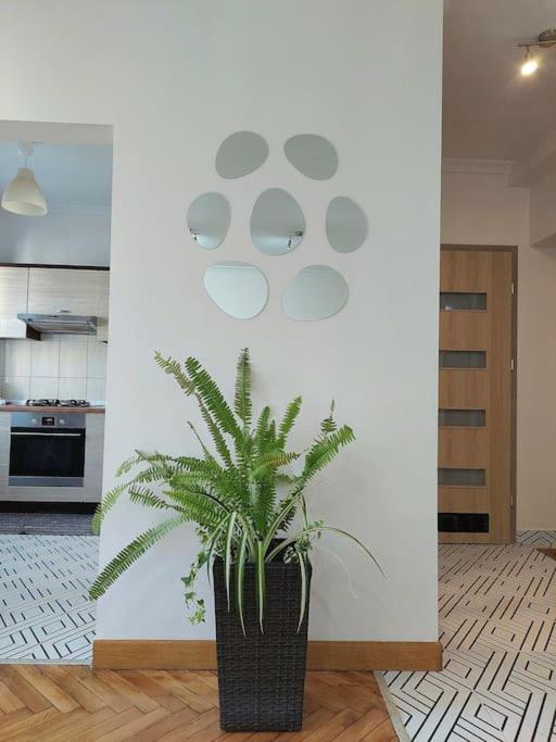 Domin Domin Apartment เชสโตฮอวา ภายนอก รูปภาพ
